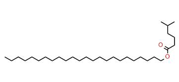 Tetracosyl 5-methylhexanoate
